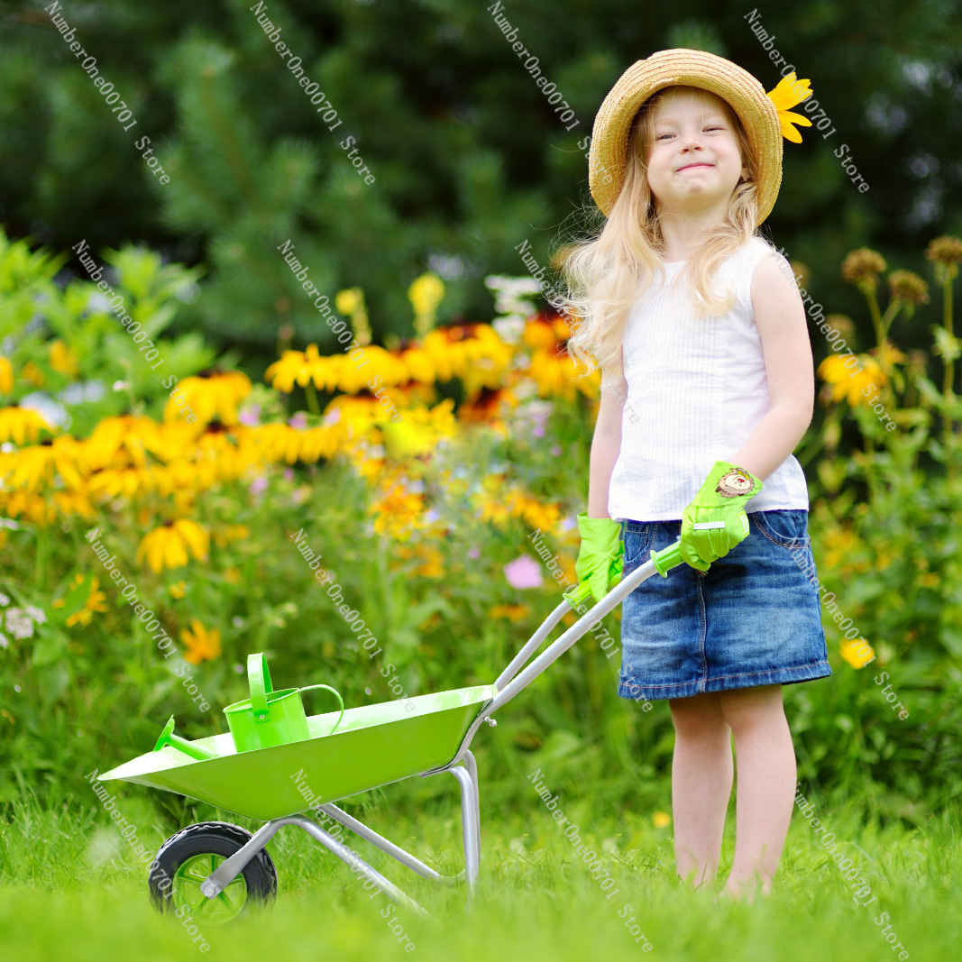Kids Outdoor Wheelbarrow, Gree - Kids Outdoor Play ulasan dan harga