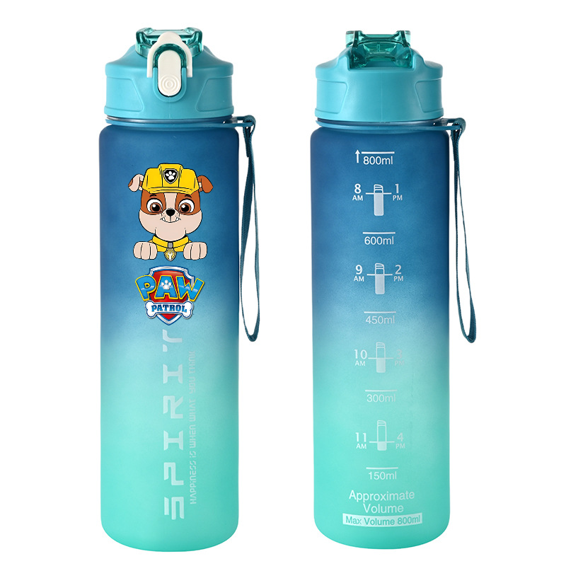 800ml PAW Patrol Sports Water  - Kids Outdoor Kitchen Accessories ulasan dan harga