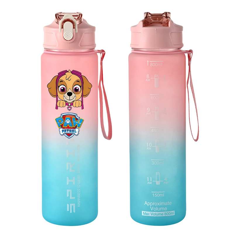 800ml PAW Patrol Sports Water  - Kids Outdoor Kitchen Accessories ulasan dan harga