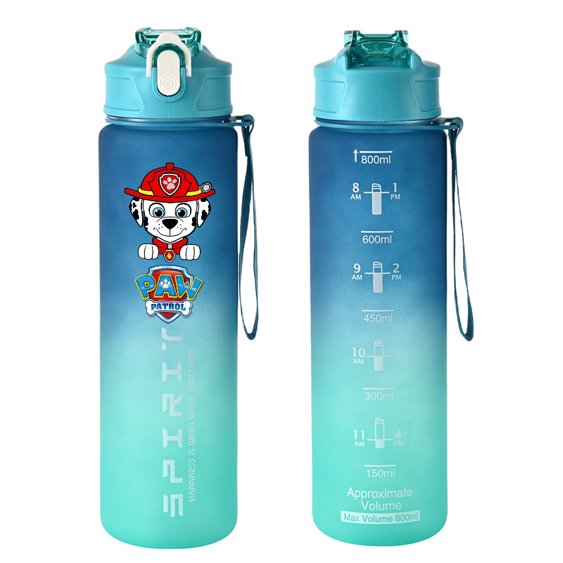 800ml PAW Patrol Sports Water  - Kids Outdoor Kitchen Accessories ulasan dan harga