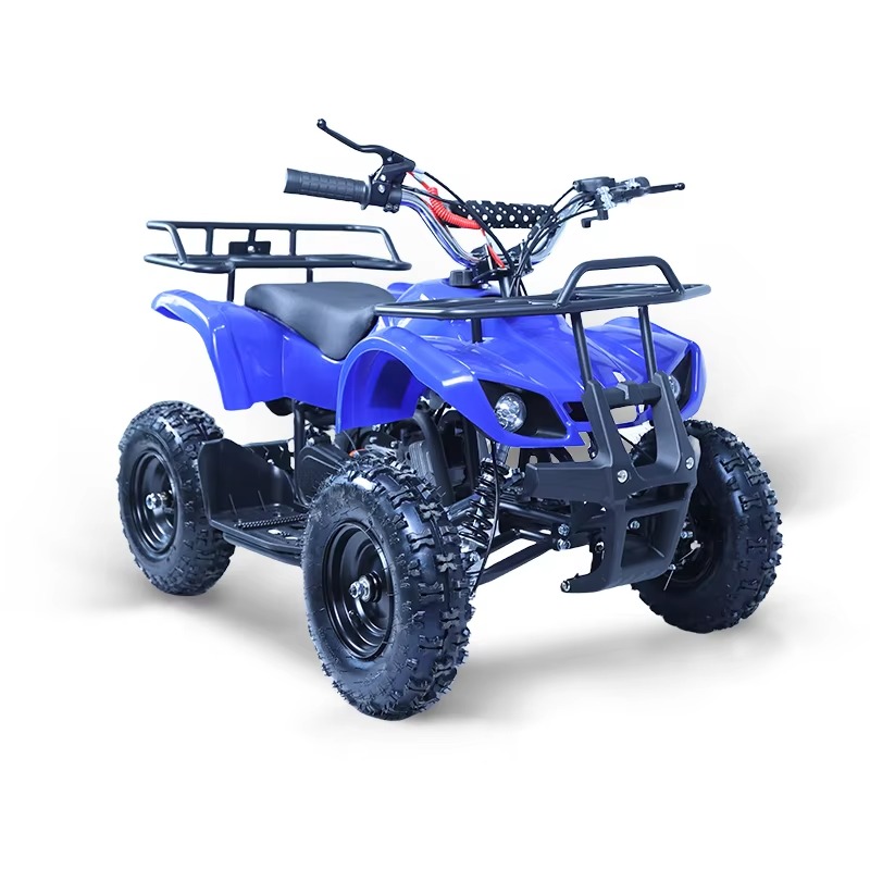 49cc Mini ATV Kids Quad Bike 2 - Kids Outdoor Quad ulasan dan harga