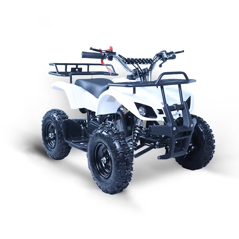 49cc Mini ATV Kids Quad Bike 2 - Kids Outdoor Quad ulasan dan harga
